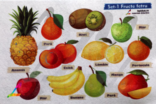 set1-A4-fructe-principala-lepidus set1-A4-fructe-principala-lepidus